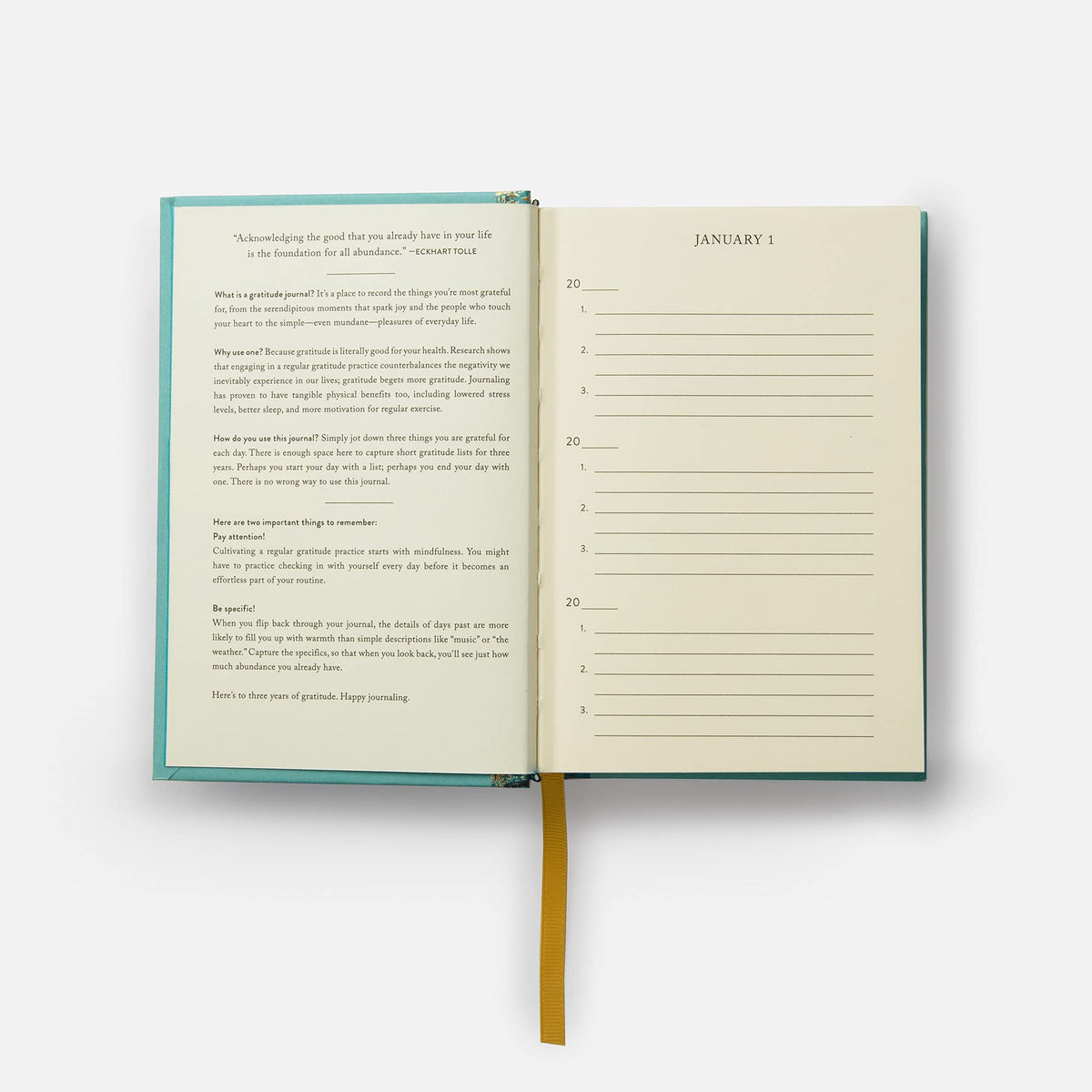 The Gratitude Journal
