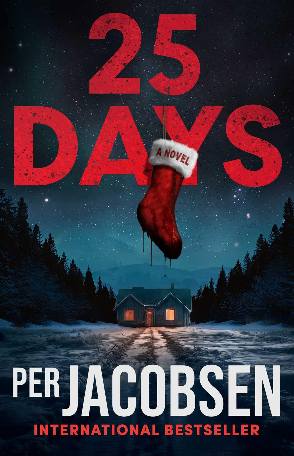 25 Days: A Novel