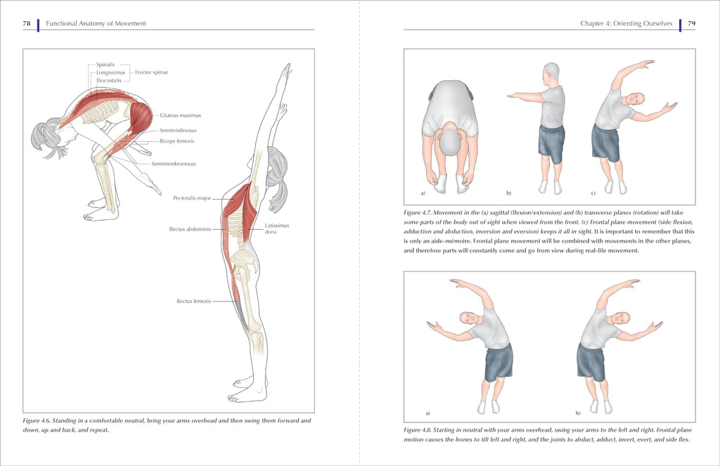 Functional Anatomy of Movement: An Illustrated Guide to Joint Movement, Soft Tissue Control, and Myofascial Anatomy-- For yoga teachers, pilates instructors & movement & manual therapists