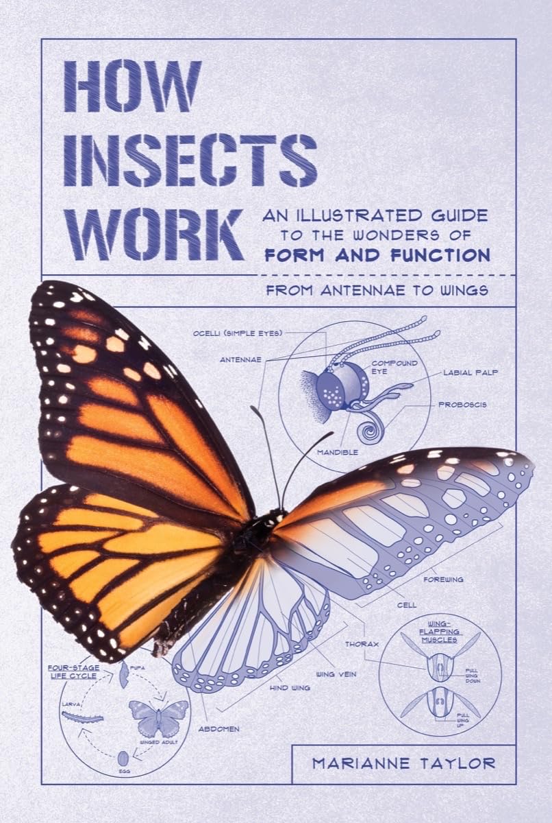 How Insects Work: An Illustrated Guide to the Wonders of Form and Function?from Antennae to Wings (How Nature Works)