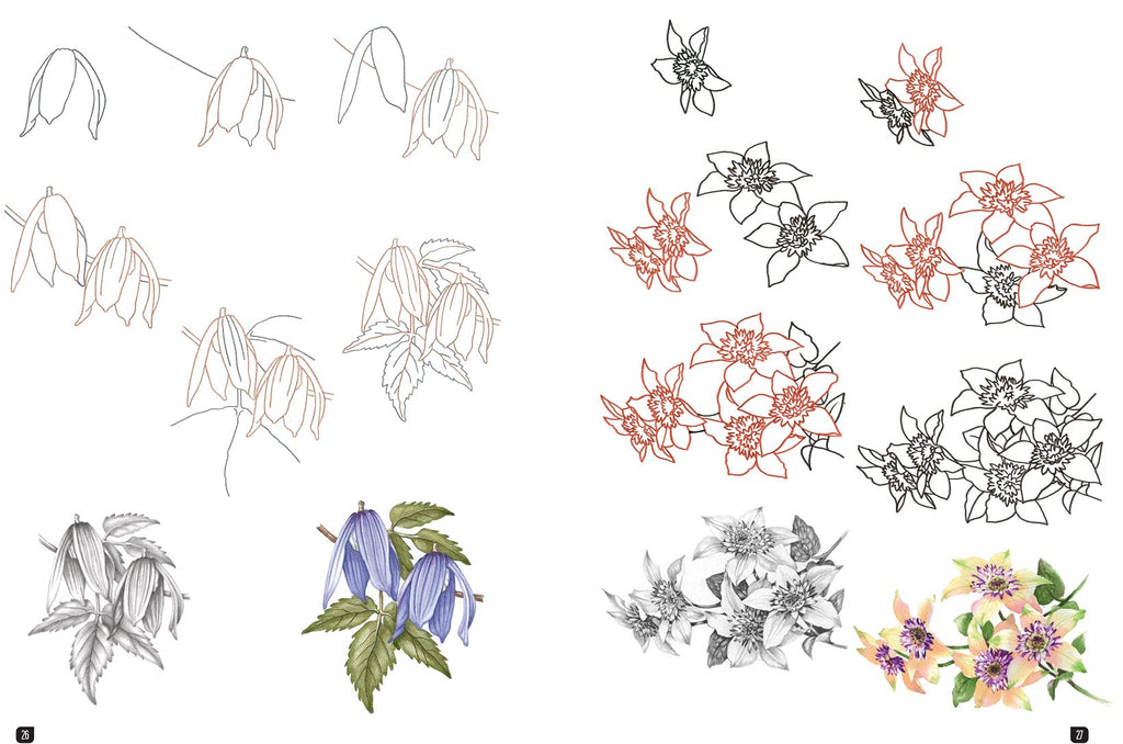 Draw 100: Flowers: From basic shapes to amazing drawings in super-easy steps