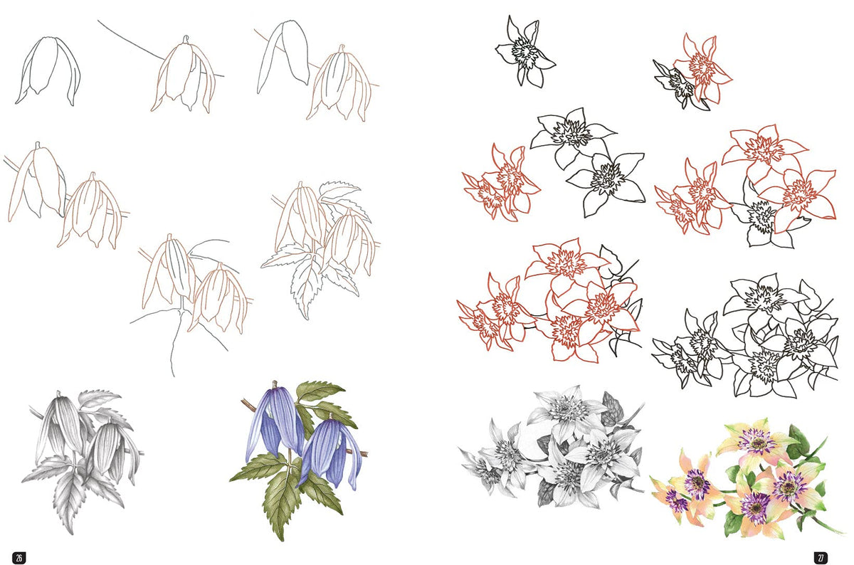 Draw 100: Flowers: From basic shapes to amazing drawings in super-easy steps