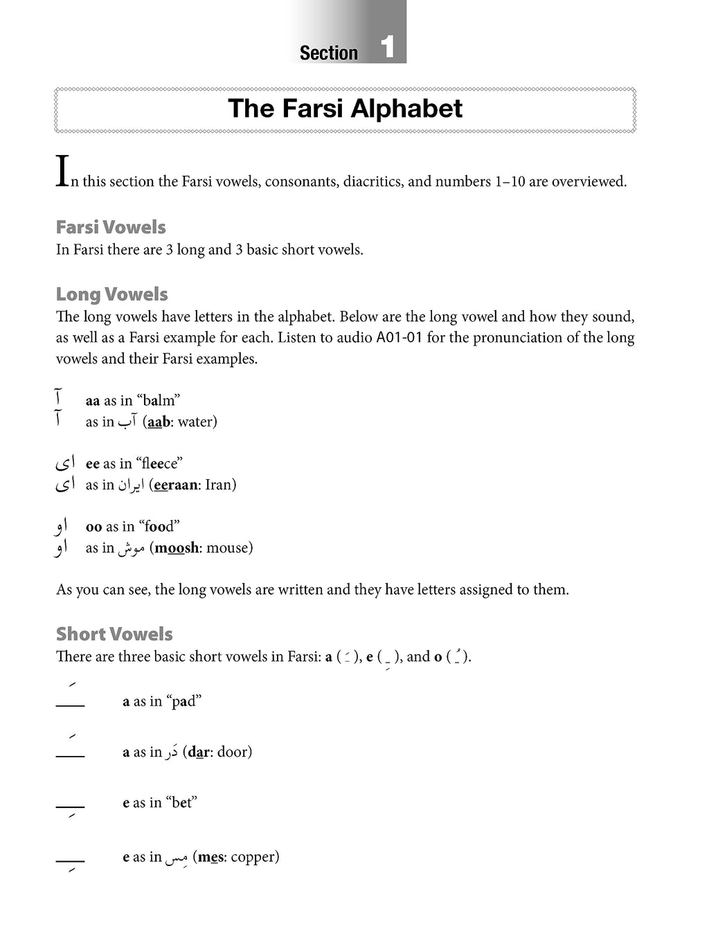 Reading & Writing Farsi (Persian): A Workbook for Self-Study: A Beginner's Guide to the Farsi Script and Language (Free Online Audio & Printable Flash Cards)