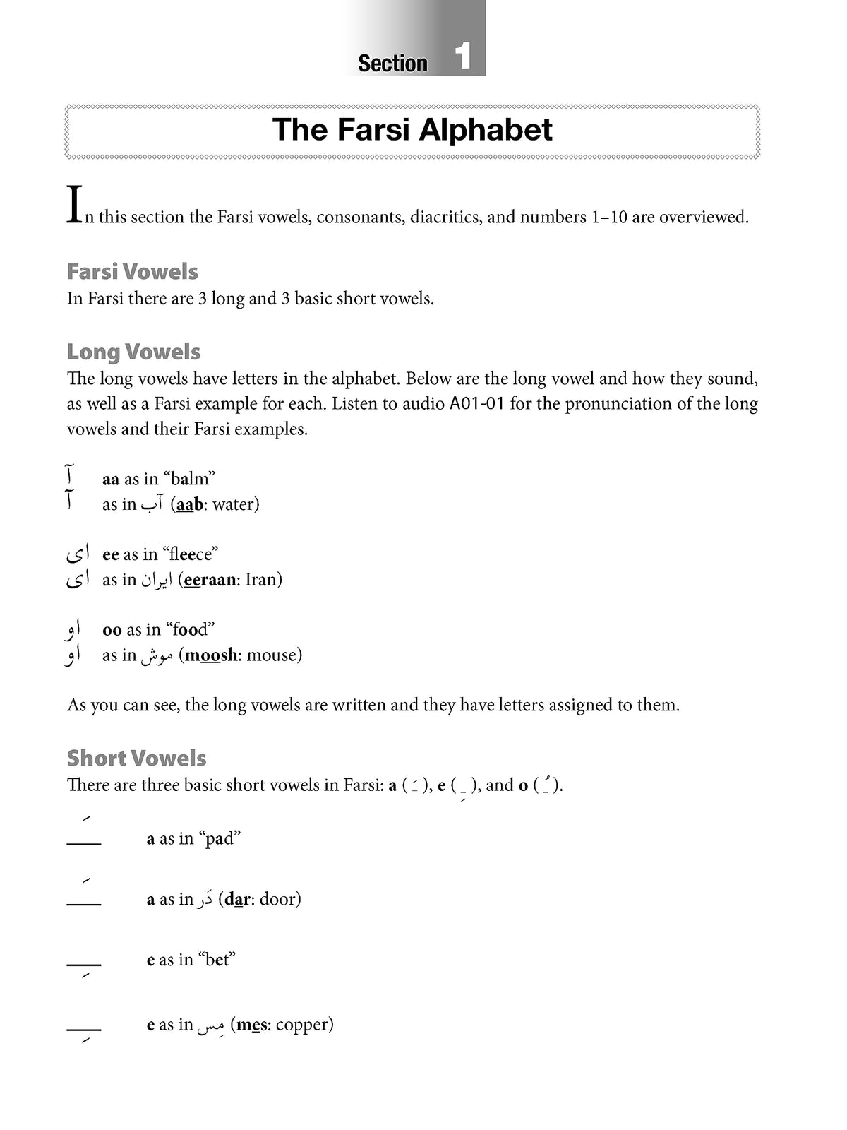 Reading & Writing Farsi (Persian): A Workbook for Self-Study: A Beginner's Guide to the Farsi Script and Language (Free Online Audio & Printable Flash Cards)