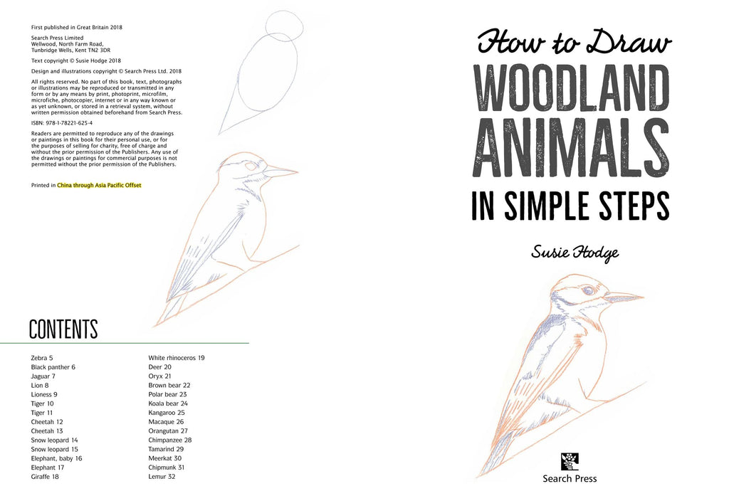 How to Draw Woodland Animals In Simple Steps