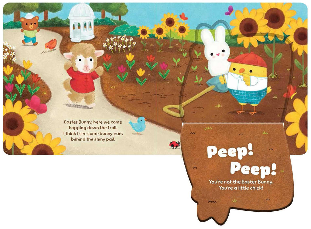Easter Bunny, Where Are You?: A Lift-the-Flap Book!