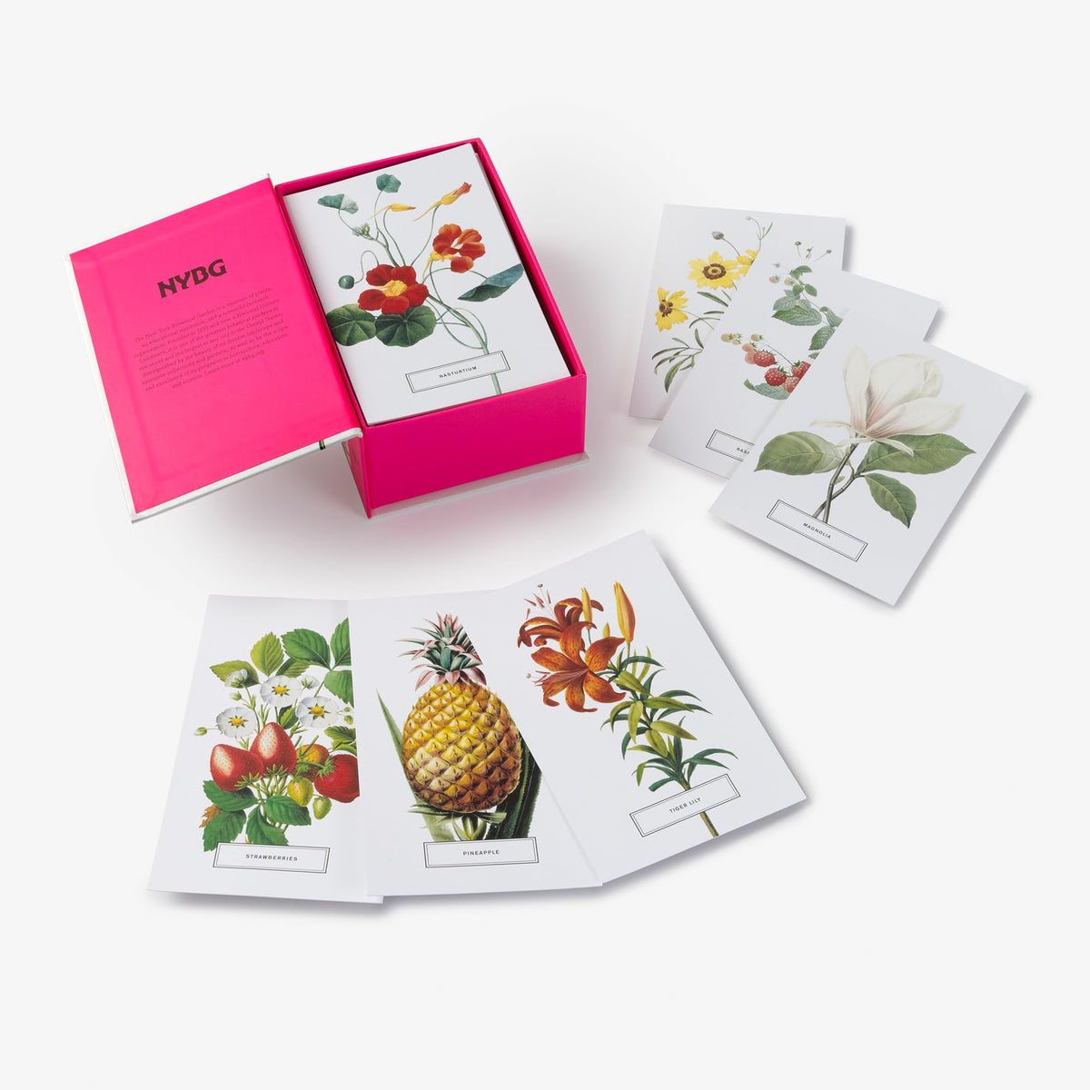 New York Botanical Garden: In Full Bloom Postcards: 100 Postcards from the Archives of the New York Botanical Garden