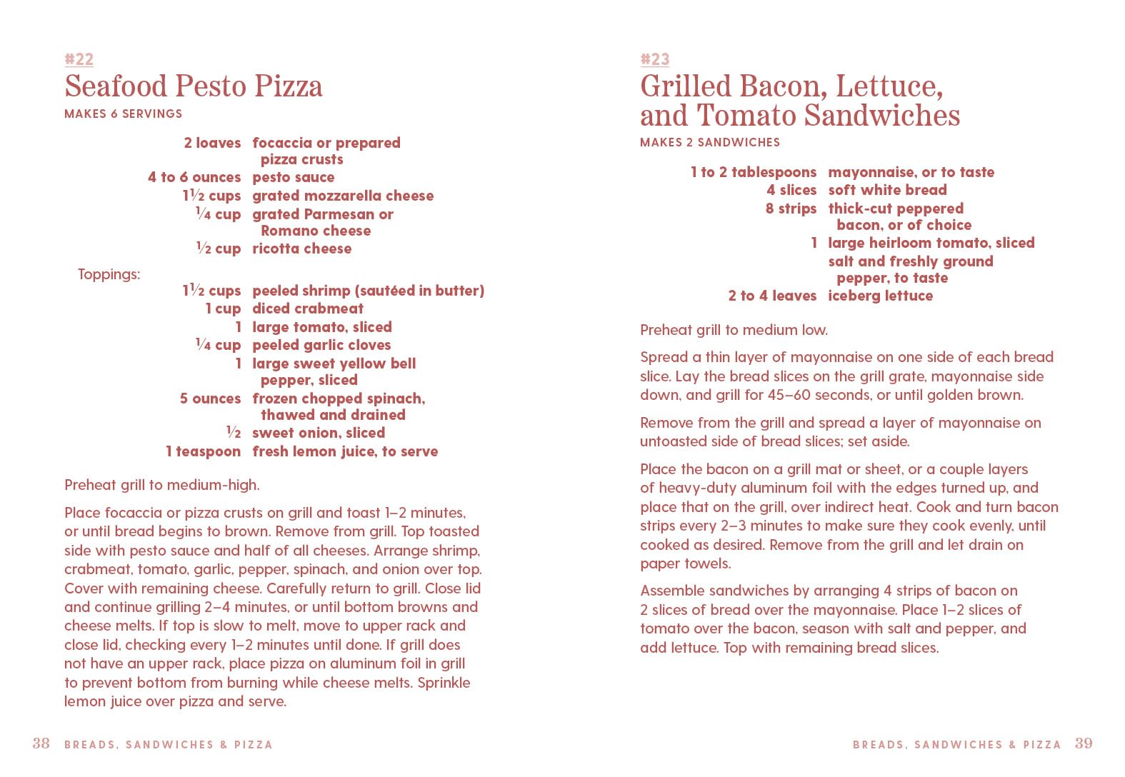 101 Things to Do With a BBQ, new edition (101 Cookbooks)