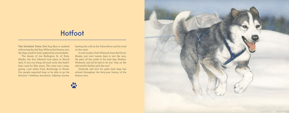 Alaska's Dog Heroes: True Stories of Remarkable Canines (Alaska Books)