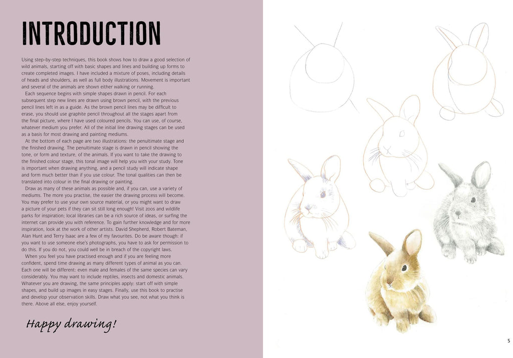 How to Draw Woodland Animals In Simple Steps