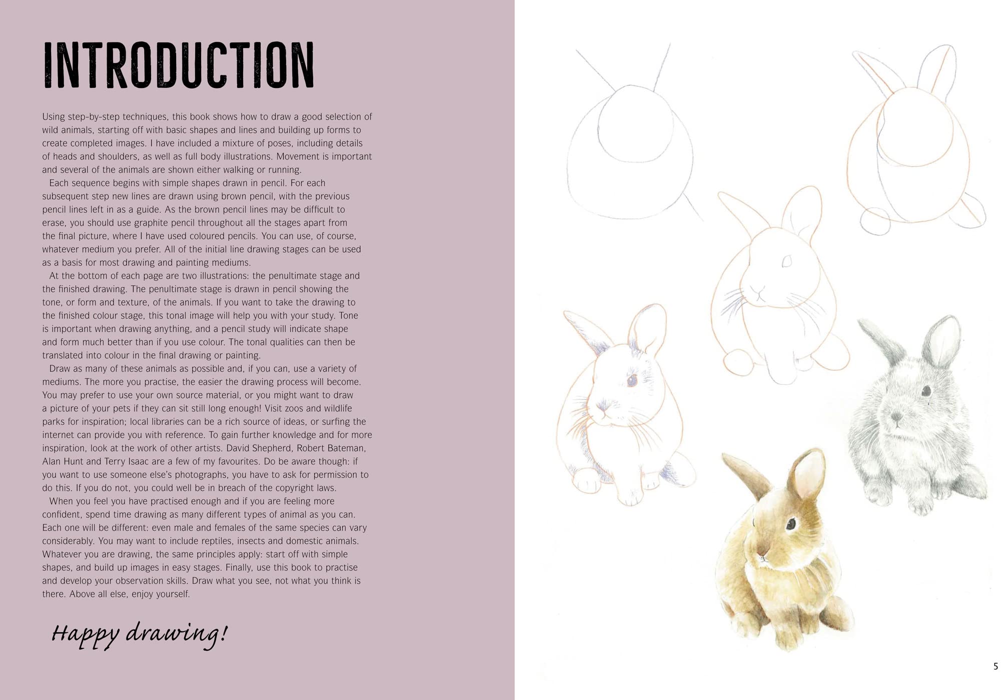 How to Draw Woodland Animals In Simple Steps