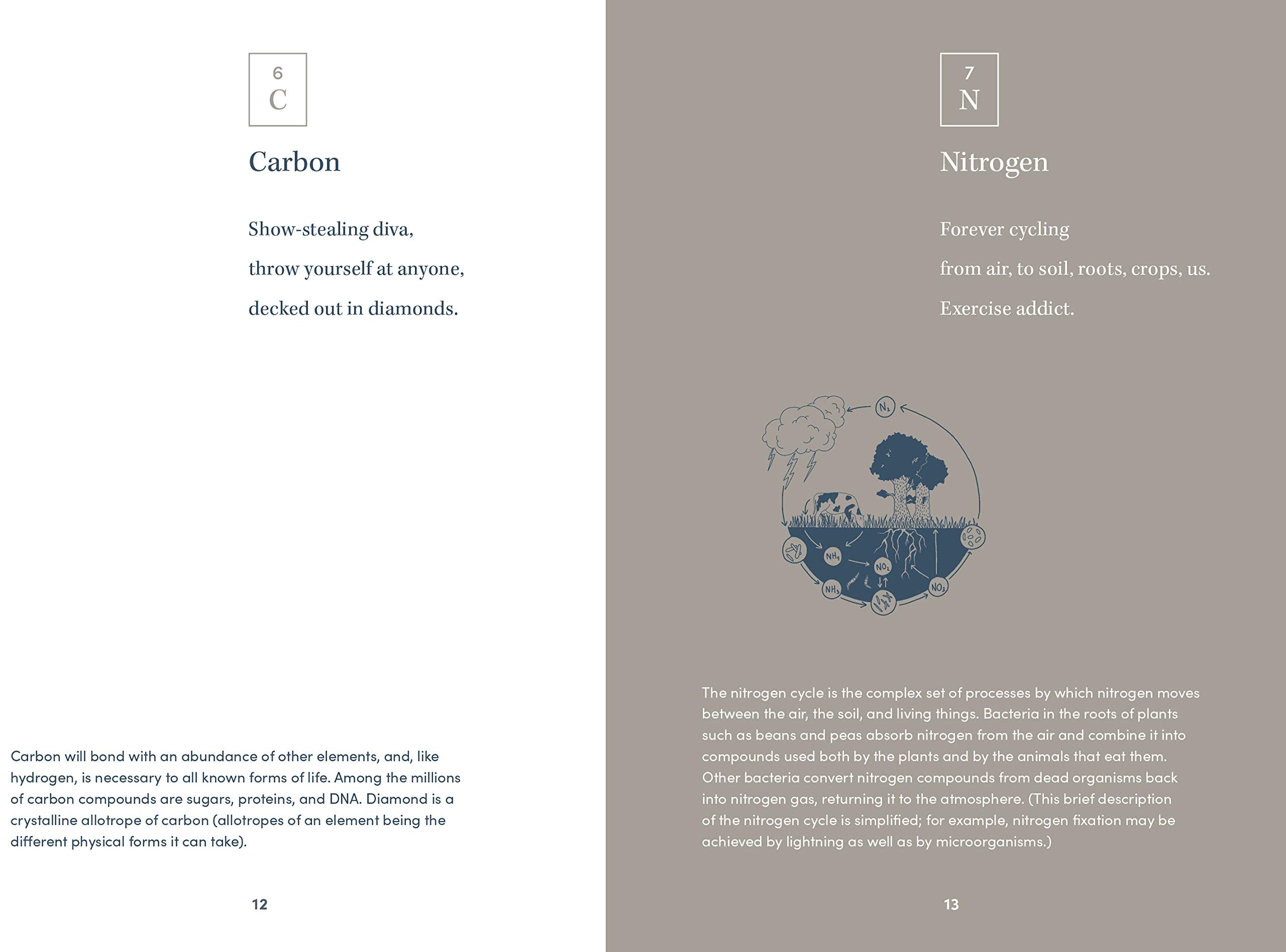 Elemental Haiku: Poems to honor the periodic table, three lines at a time