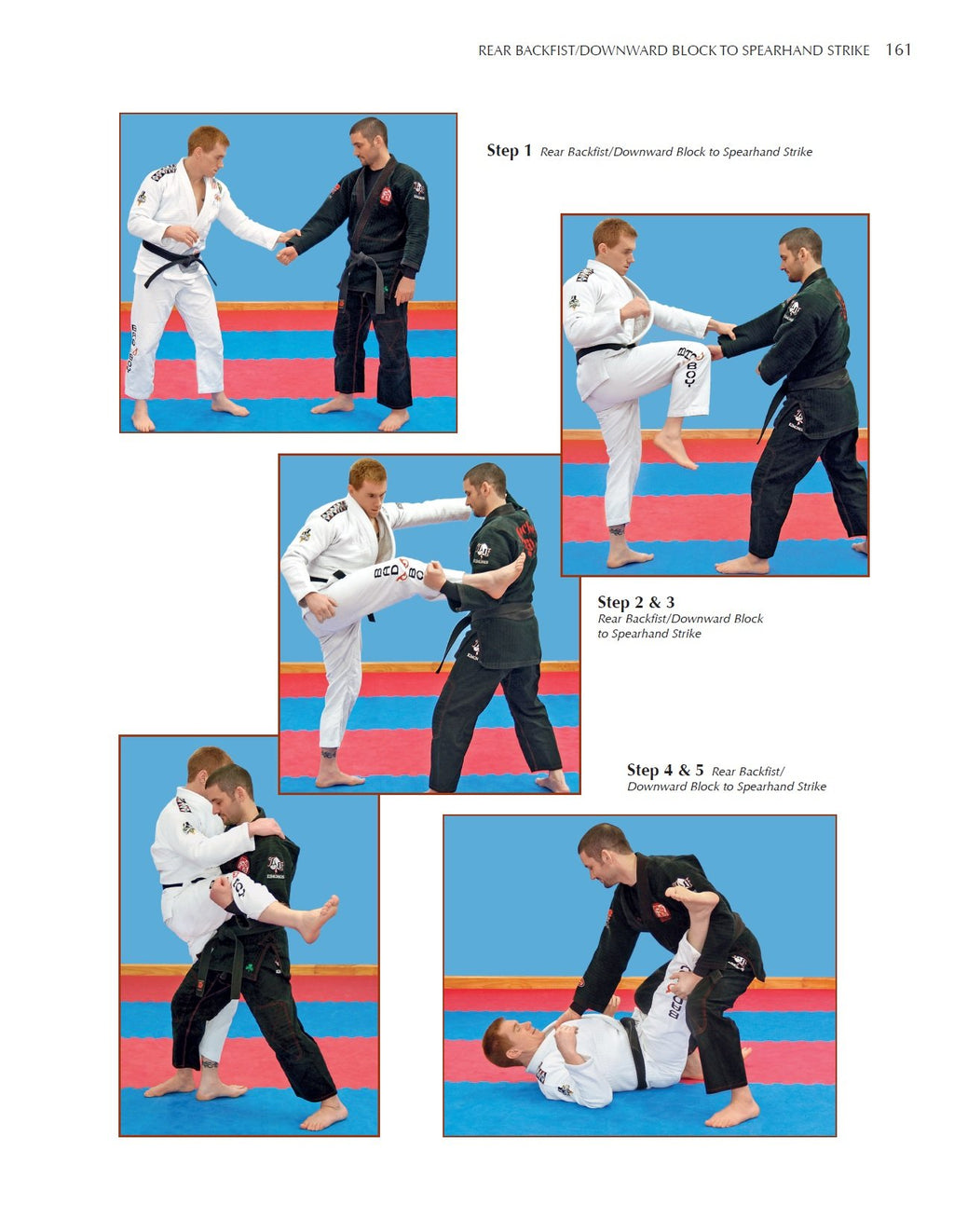 Taekwondo Grappling Techniques: Hone Your Competitive Edge for Mixed Martial Arts [DVD Included]