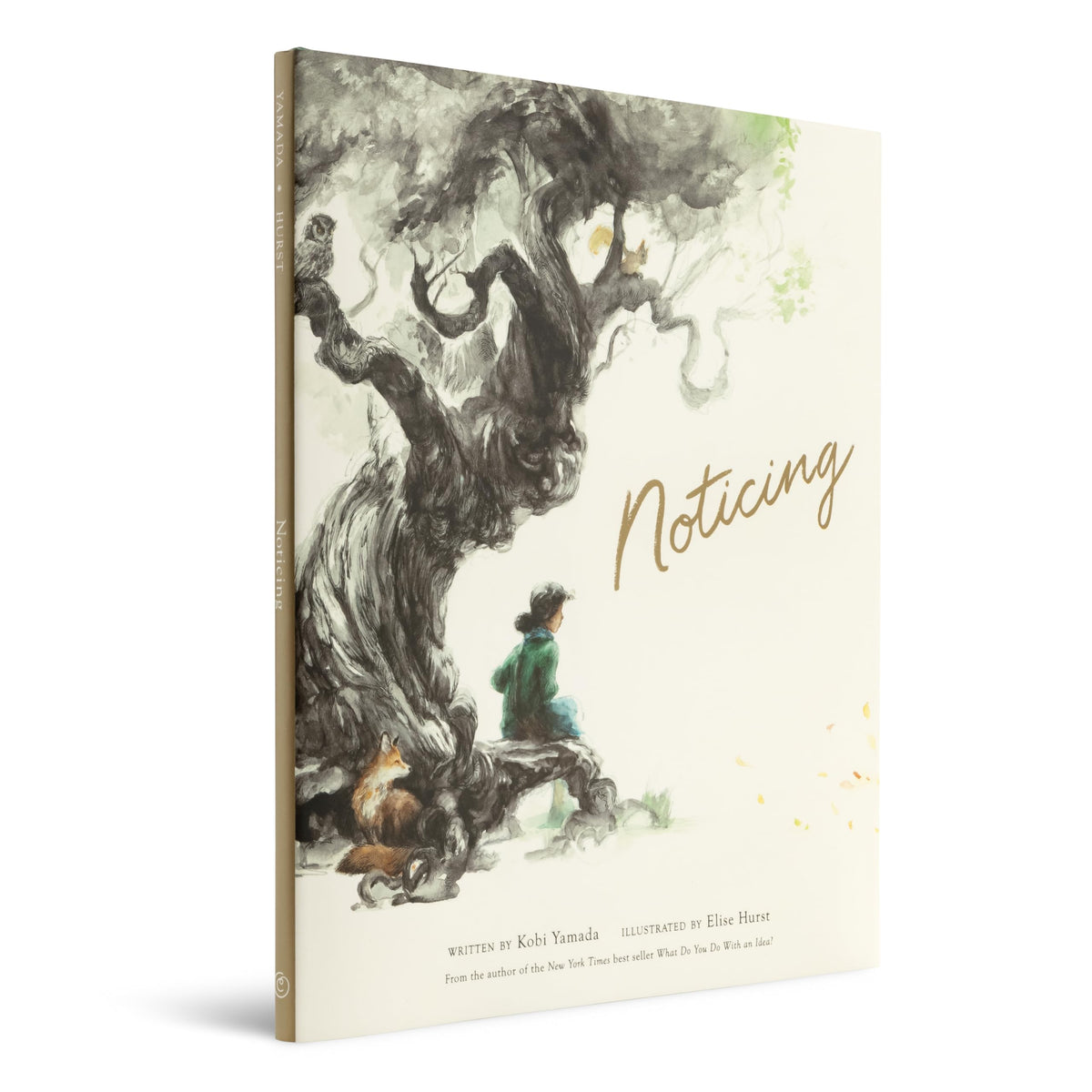 Noticing (Mentor)