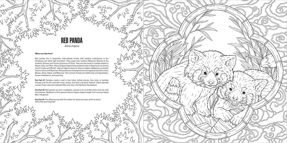 Baby Animals: A Smithsonian Coloring Book