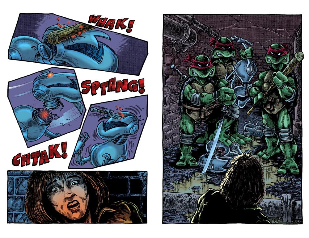 Best of Teenage Mutant Ninja Turtles Collection, Vol. 2
