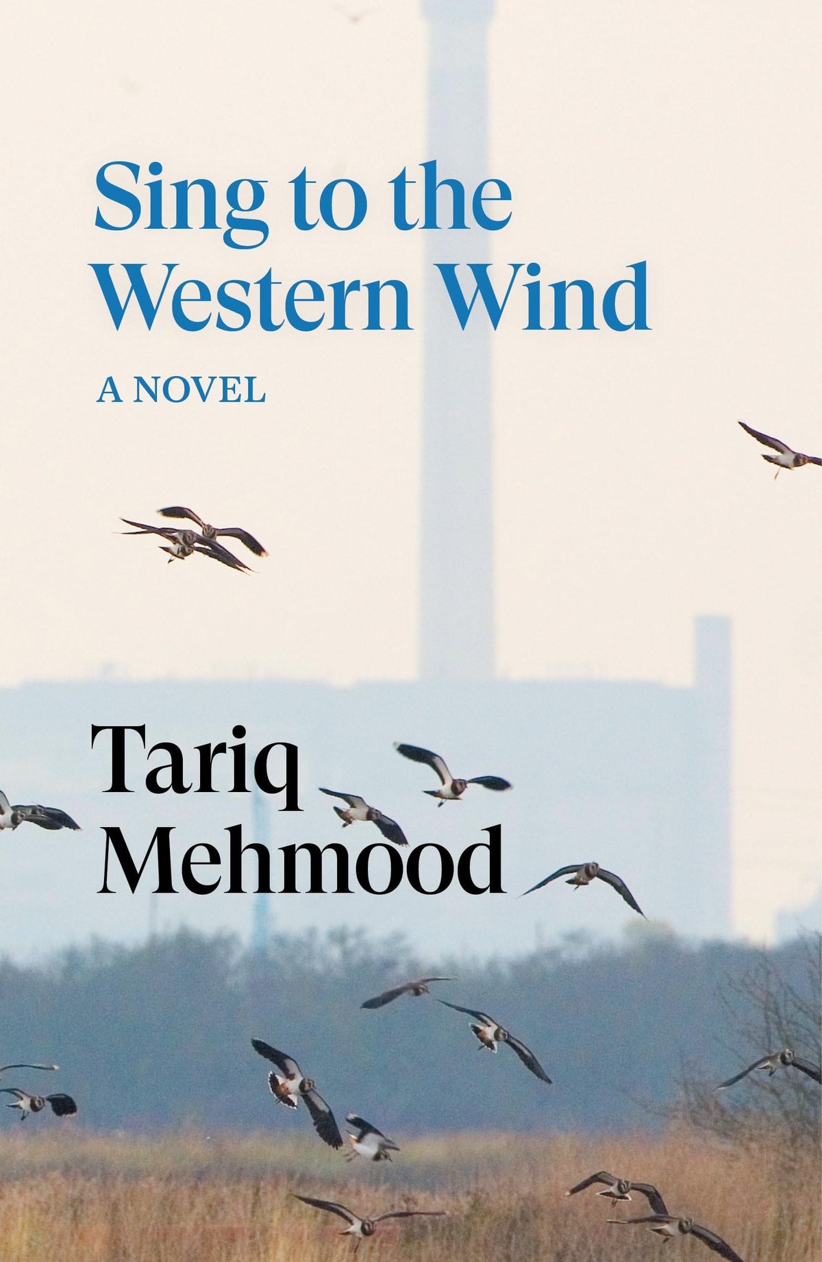 Sing to the Western Wind: A Novel
