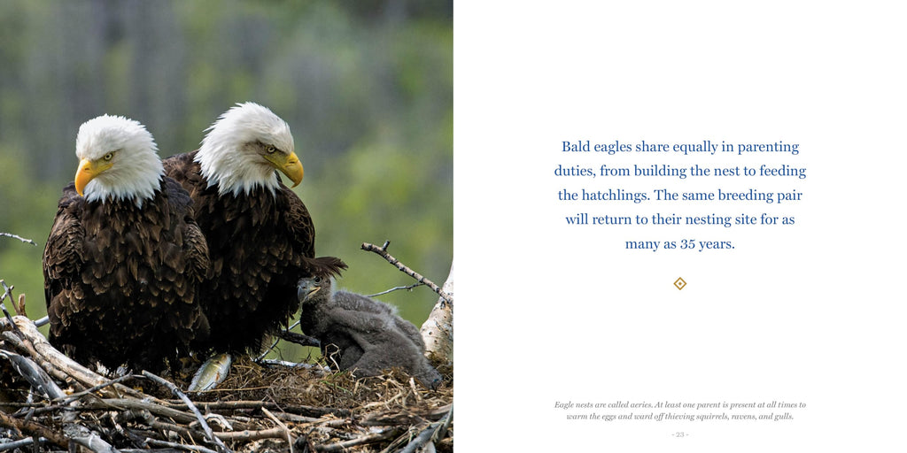 Amazing Dads: Love and Lessons From the Animal Kingdom