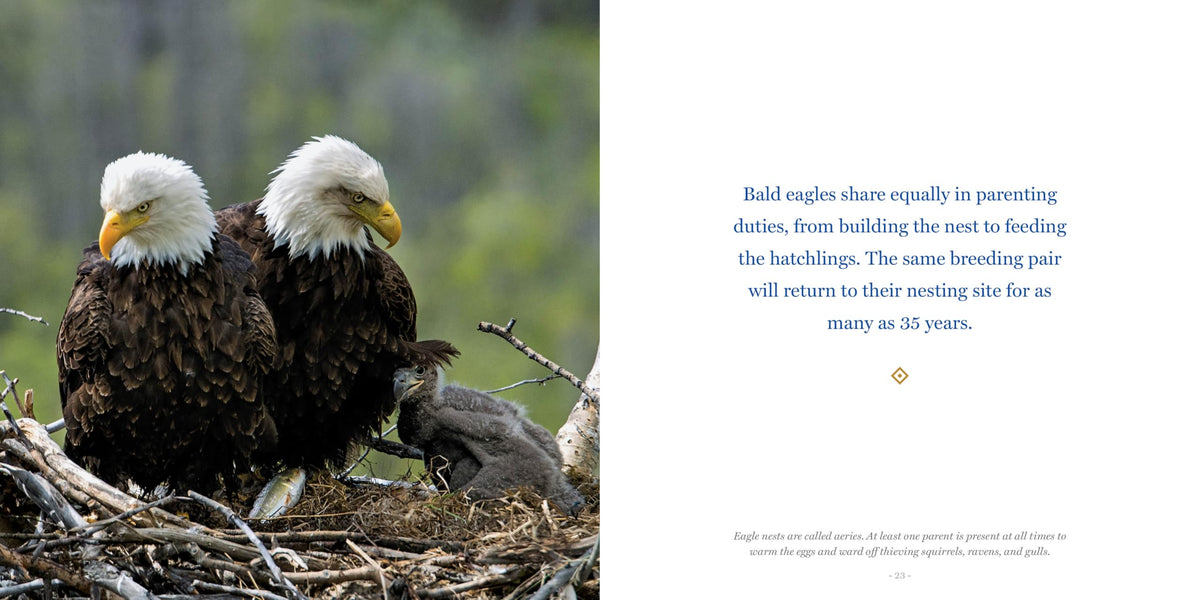 Amazing Dads: Love and Lessons From the Animal Kingdom