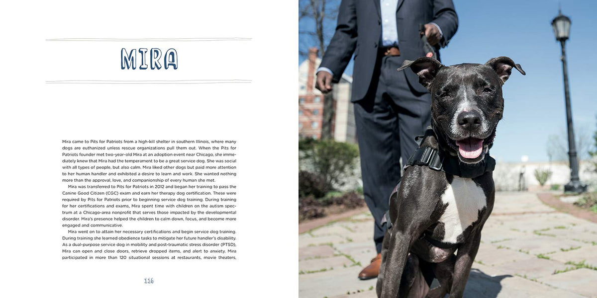 Pit Bull Heroes: 49 Underdogs with Resilience and Heart