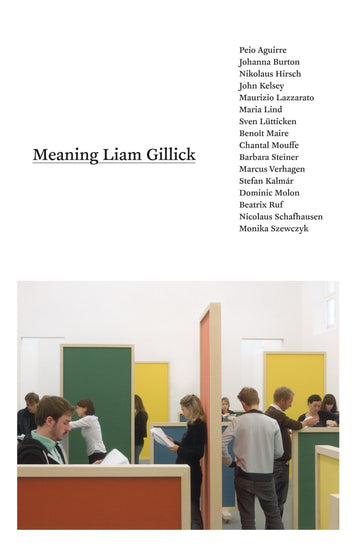 Meaning Liam Gillick (Mit Press)