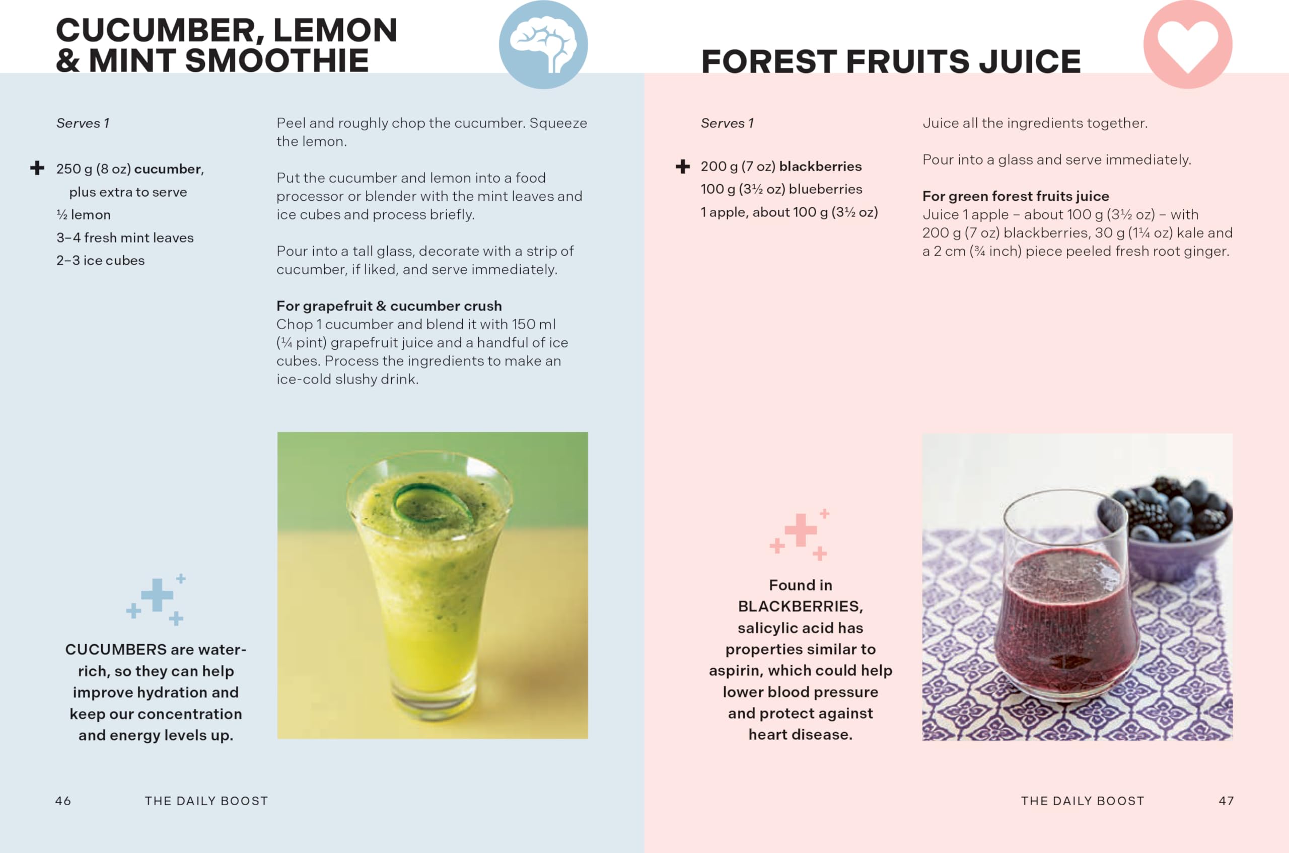 The Daily Boost: A nutritionist’s guide to over 180 healthy juice and smoothie recipes
