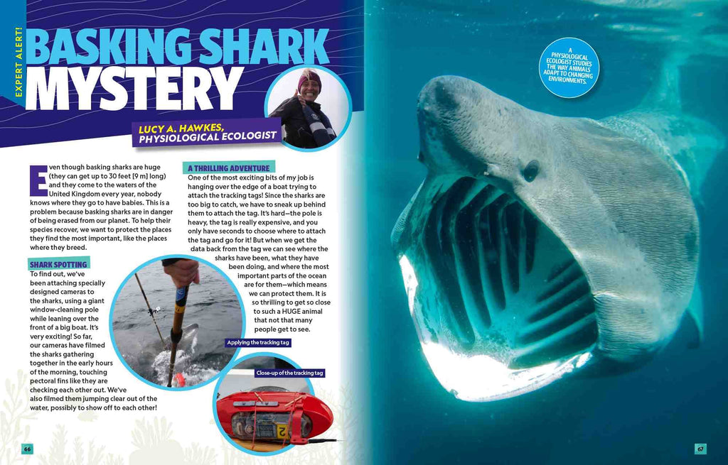 Can't Get Enough Shark Stuff: Fun Facts, Awesome Info, Cool Games, Silly Jokes, and More!