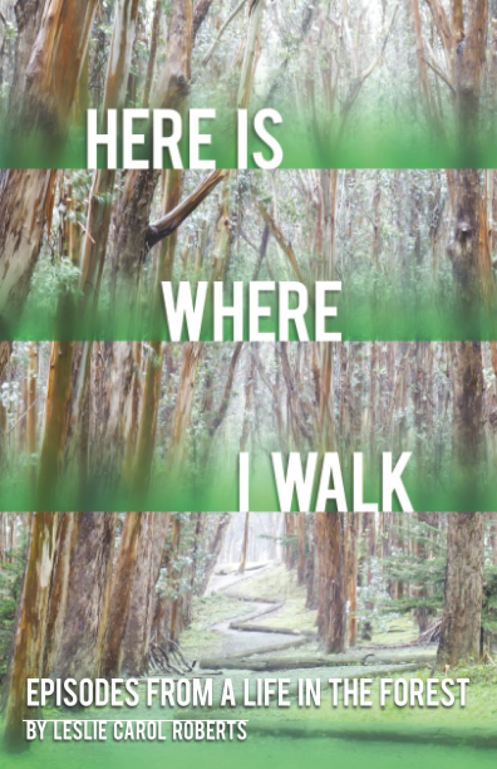Here is Where I Walk: Episodes From a Life in the Forest (Volume 1)