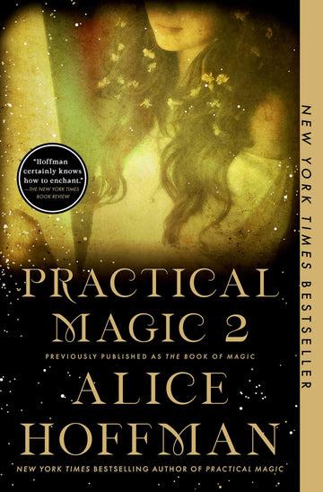 The Book of Magic (Practical Magic 2): A Novel (The Practical Magic Series)