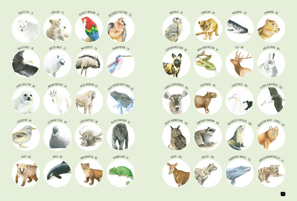 Draw 100: Animals: From basic shapes to amazing drawings in super-easy steps