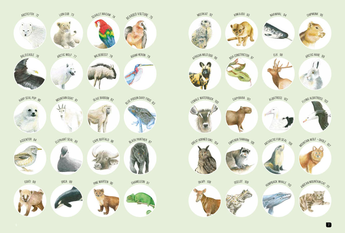 Draw 100: Animals: From basic shapes to amazing drawings in super-easy steps