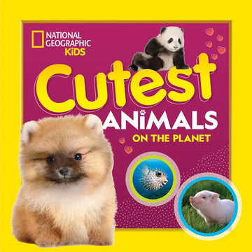 Cutest Animals on the Planet