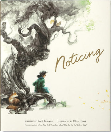 Noticing (Mentor)