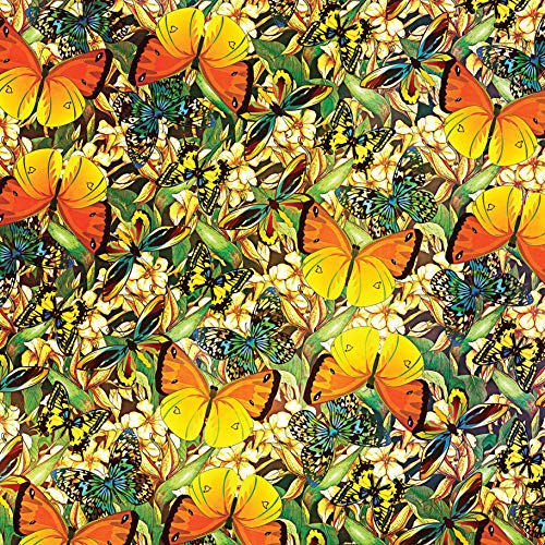 Origami Butterflies Kit: The LaFosse Butterfly Design System - Kit Includes 2 Origami Books, 12 Projects, 98 Origami Papers: Great for Both Kids and Adults
