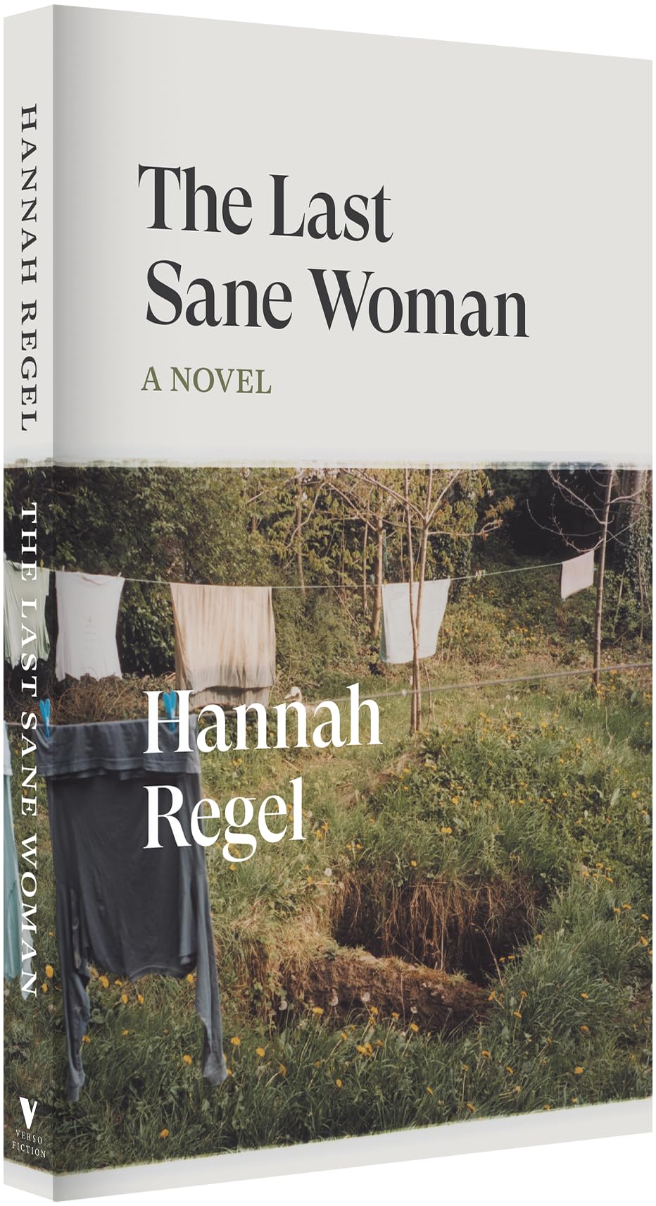 The Last Sane Woman: A Novel (Verso Fiction)