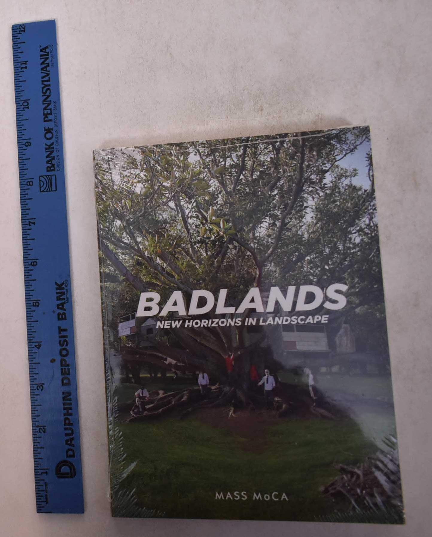 Badlands: New Horizons in Landscape