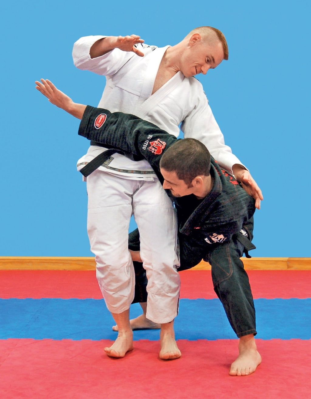 Taekwondo Grappling Techniques: Hone Your Competitive Edge for Mixed Martial Arts [DVD Included]