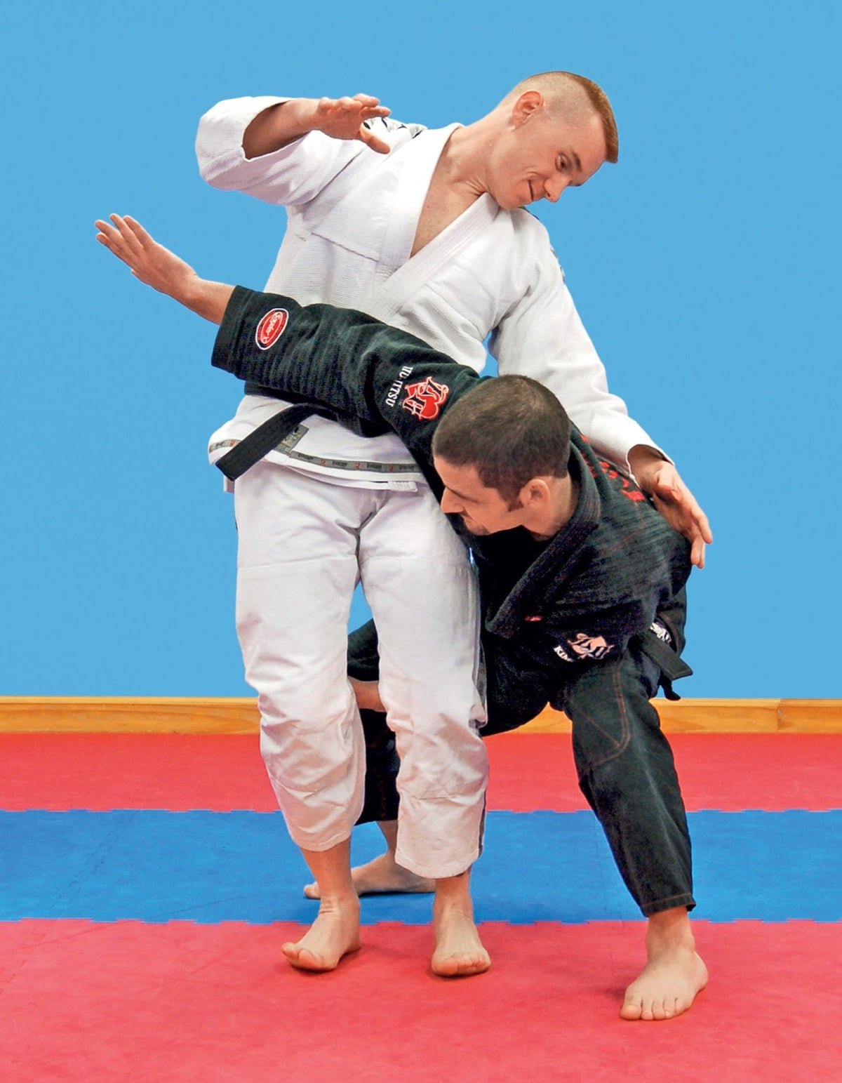 Taekwondo Grappling Techniques: Hone Your Competitive Edge for Mixed Martial Arts [DVD Included]