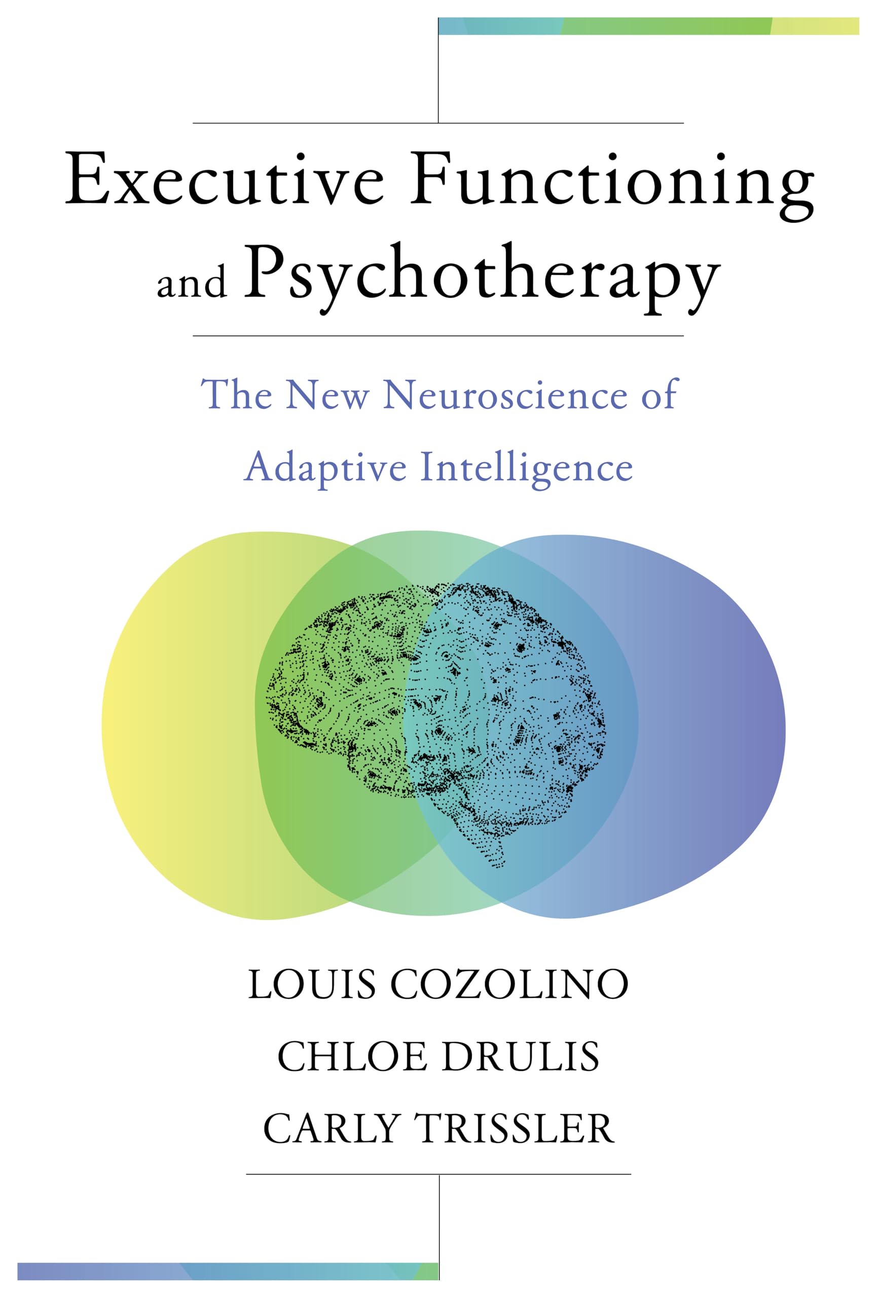 Executive Functioning and Psychotherapy: The New Neuroscience of Adaptive Intelligence (Norton Series on Interpersonal Neurobiology)