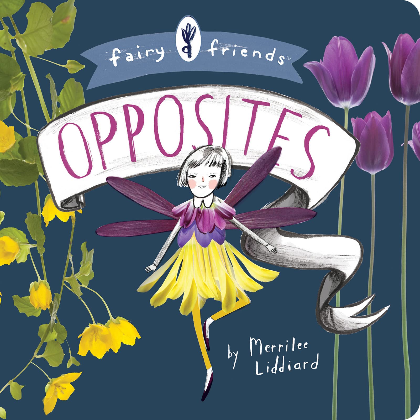 Fairy Friends: An Opposites Primer: An Opposites Primer
