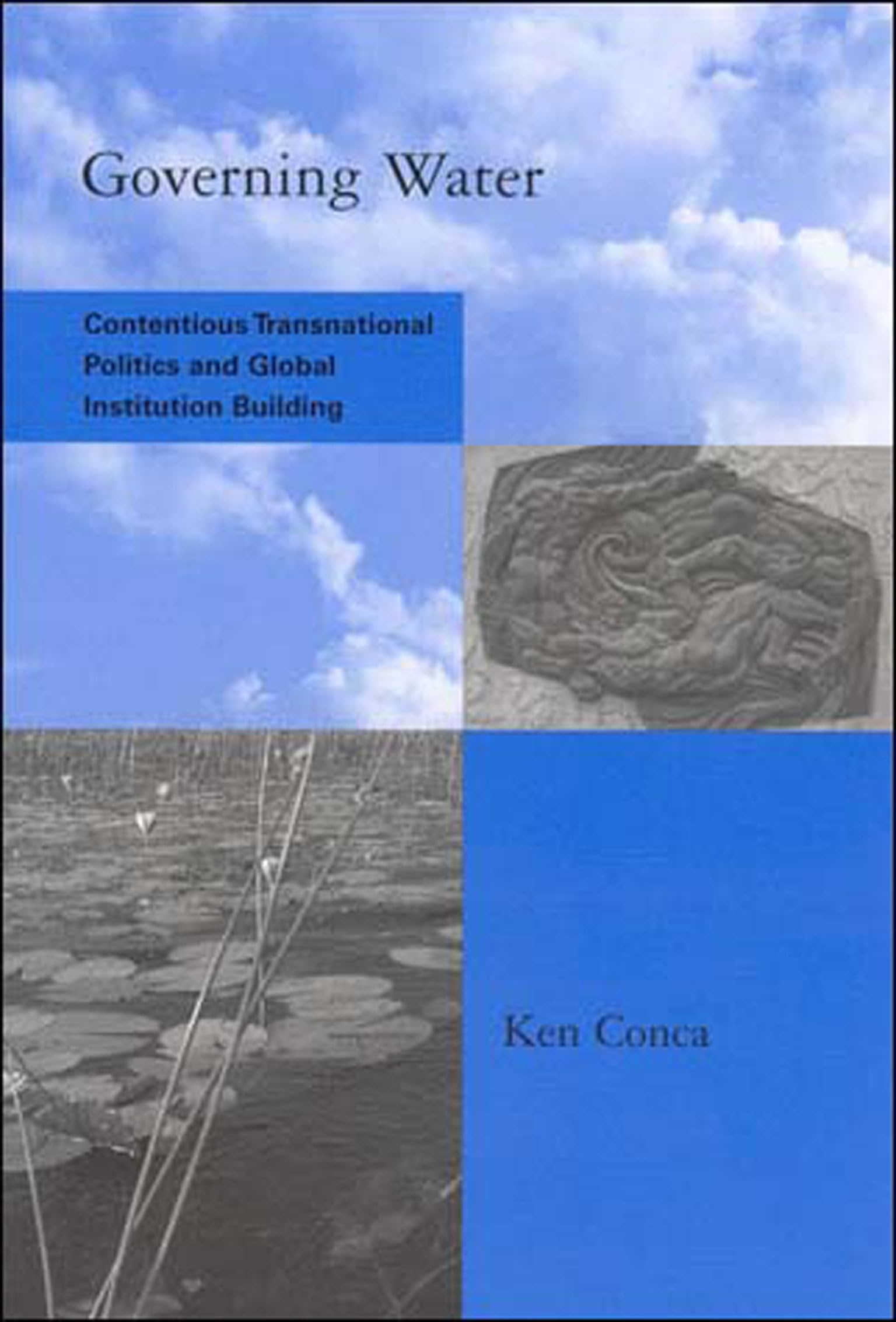 Governing Water: Contentious Transnational Politics and Global Institution Building (Global Environmental Accord: Strategies for Sustainability and Institutional Innovation)