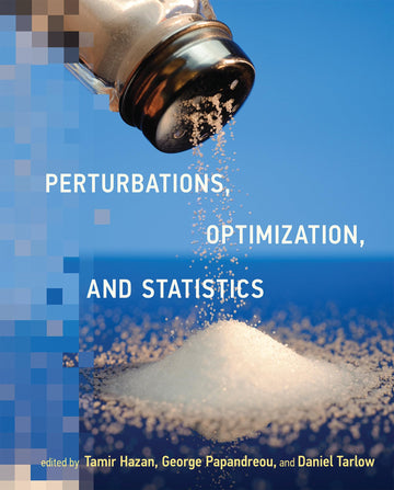 Perturbations, Optimization, and Statistics (Neural Information Processing series)