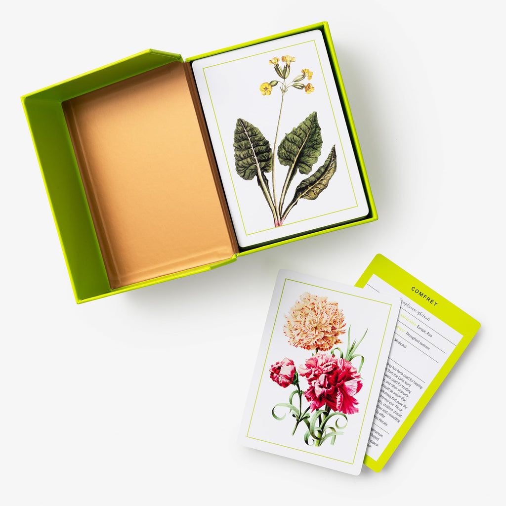 New York Botanical Garden Herb Identification Flashcards: 100 Common Herbs of North America
