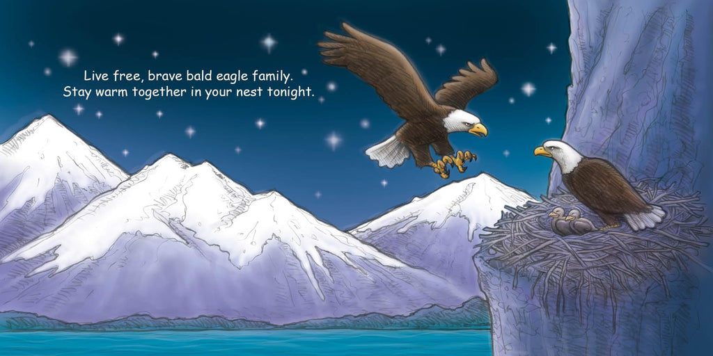 Good Night America (Good Night Our World)