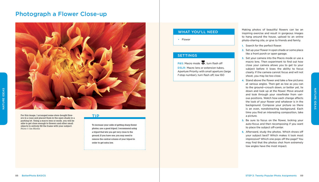 BetterPhoto Basics: The Absolute Beginner's Guide to Taking Photos Like a Pro