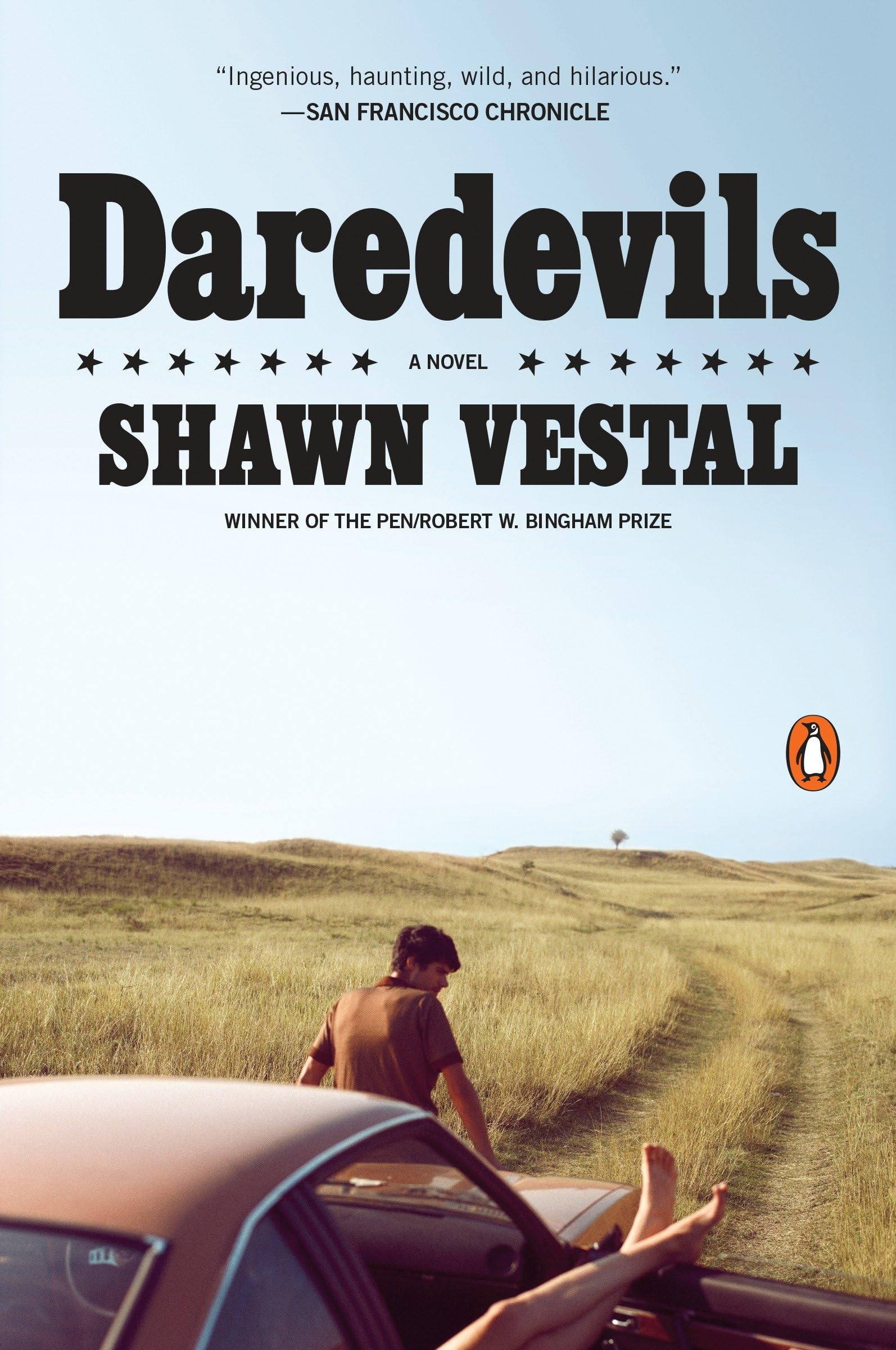 Daredevils: A Novel