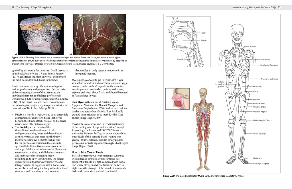 The Anatomy of Yoga Coloring Book: Learn the Form and Biomechanics of More than 50 Asanas