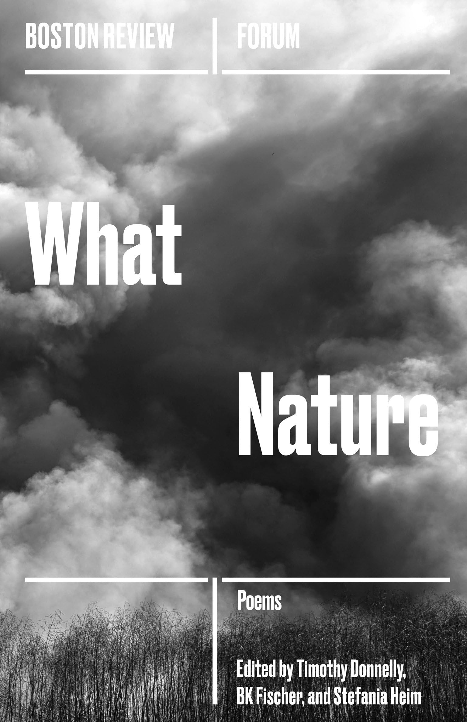 What Nature (Boston Review / Forum)
