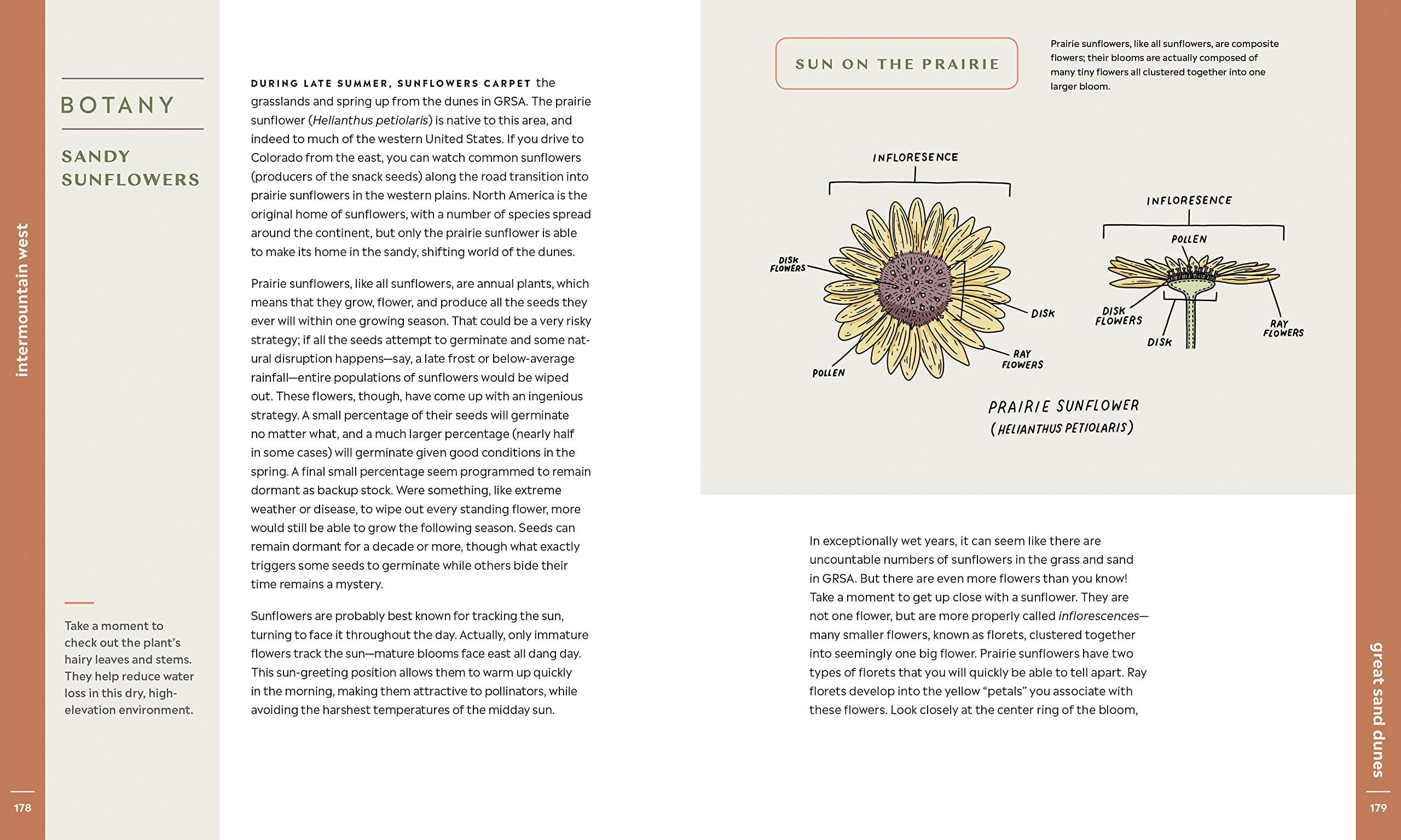 Scenic Science of the National Parks: An Explorer's Guide to Wildlife, Geology, and Botany