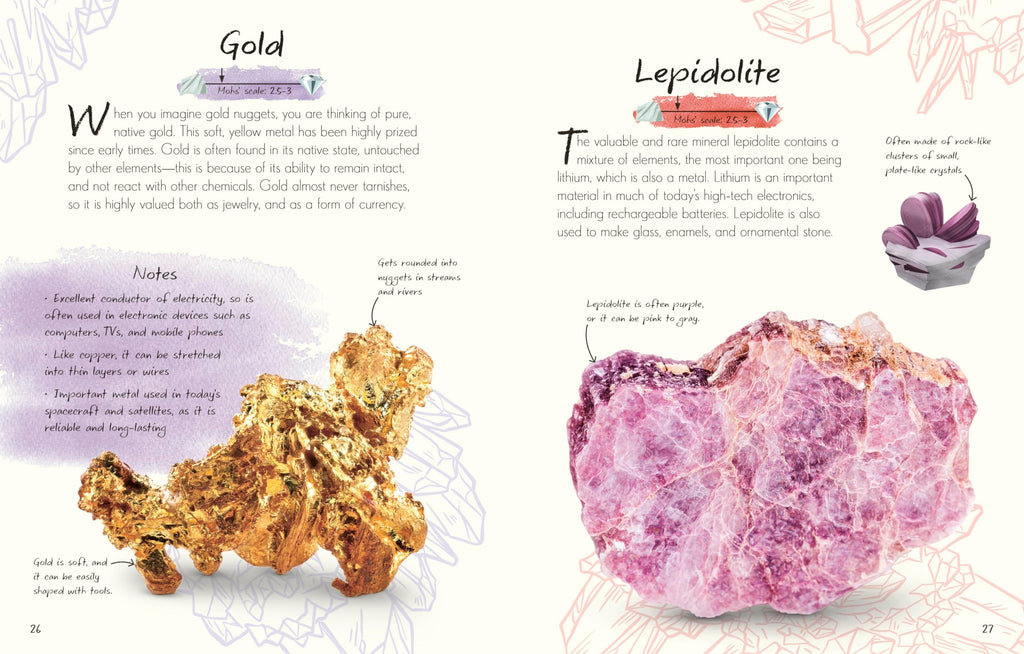 An Anthology of Rocks and Minerals: A Collection of Rocks, Minerals, and Gems from Around the World (DK Little Anthologies)